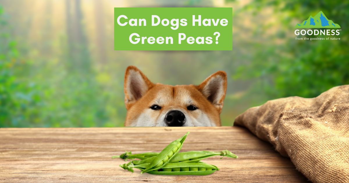 Can Dogs have Green Peas