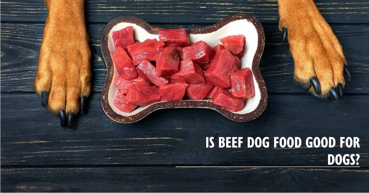 Is Beef Dog Food Good for Dogs Unveiling the Truth