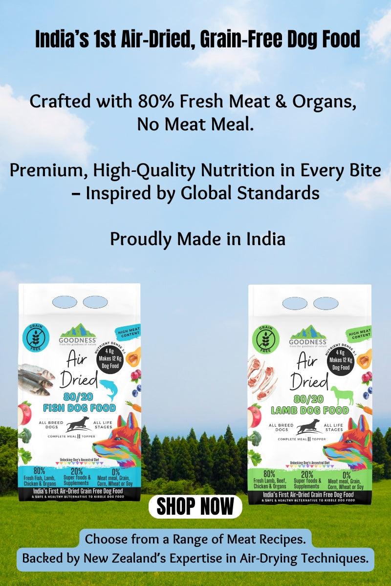 what is air dried dog food? why choose it?