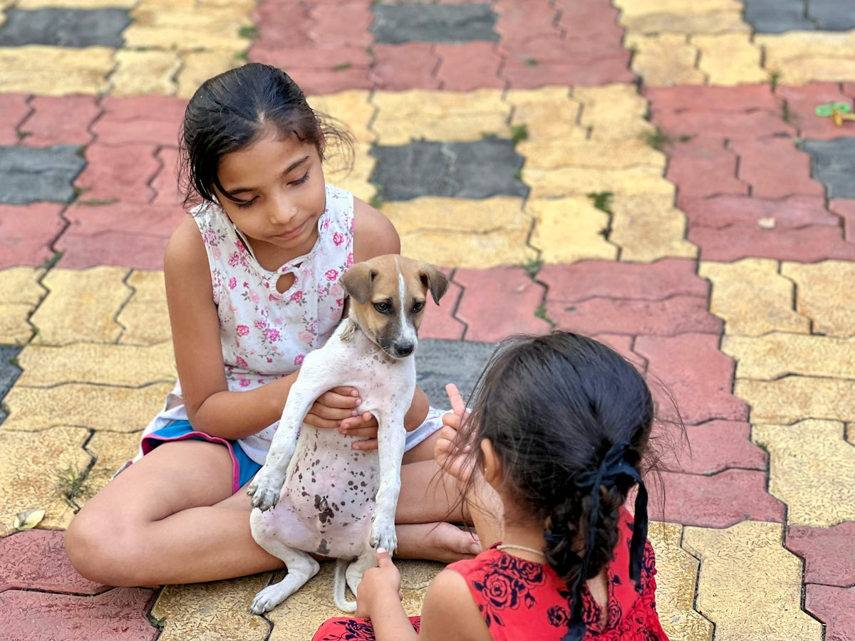 two girls sitting on the ground petting a dog