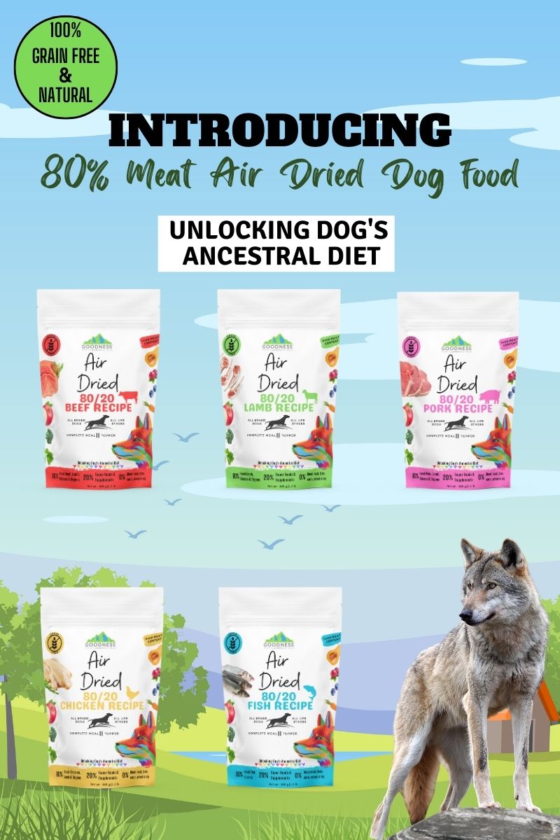 Goodness pet food