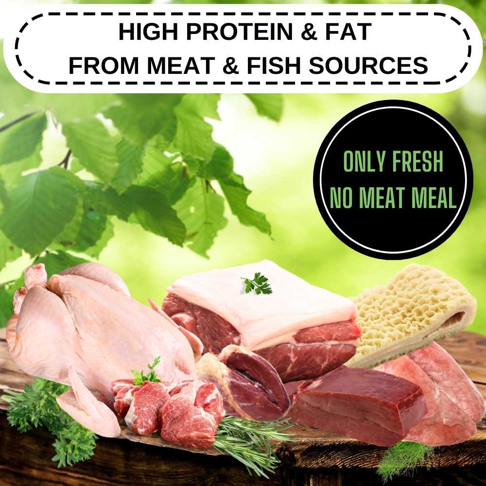 80/20 Lamb Air Dried Dog Food - Grain Free, Natural, High Protein & Fat, All Breeds & All Life Stages