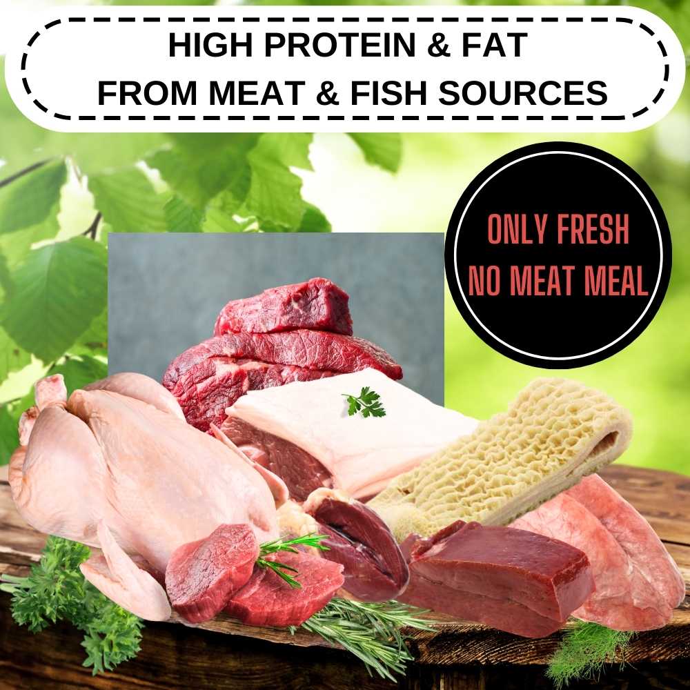 80/20 Beef Air Dried Dog Food - Grain Free, Natural, High Protein & Fat, All Breeds & All Life Stages