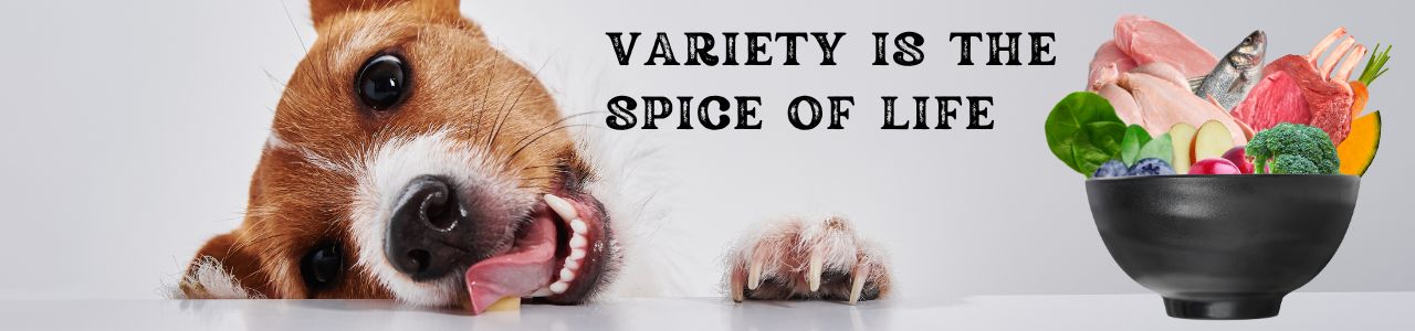 Diet Rotation for Dogs